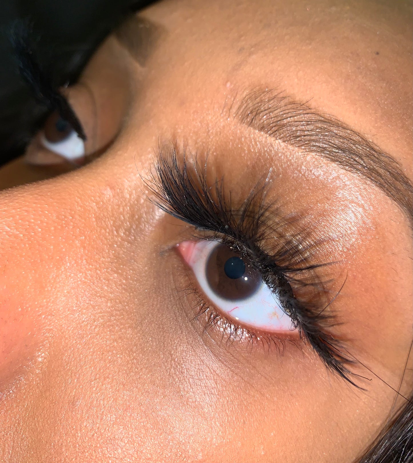 Lash Life